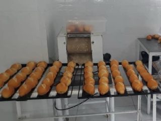 WhatsApp Image 2025-01-20 at 10.54.26 (2)