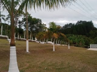 WhatsApp Image 2025-01-20 at 10.58.09