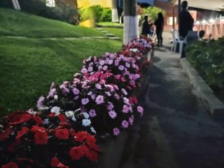 WhatsApp Image 2025-01-20 at 10.58.11 (2)