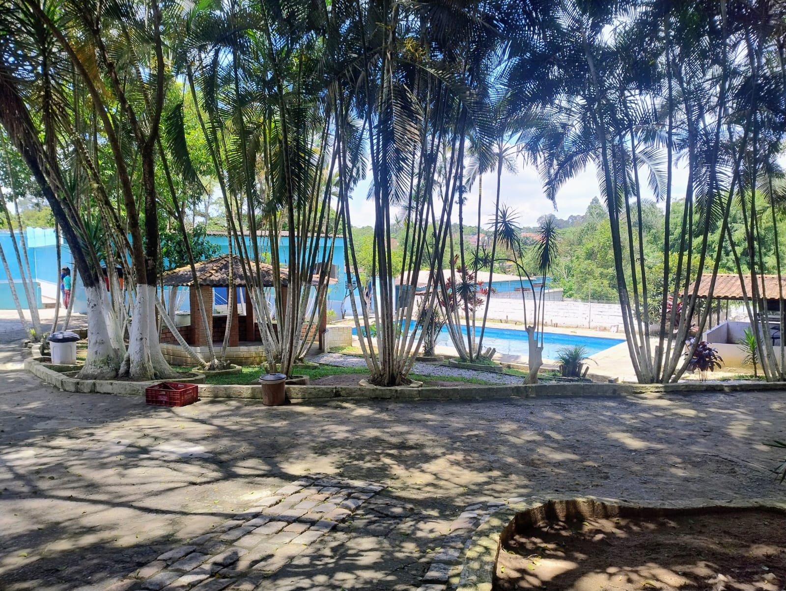 WhatsApp Image 2025-01-20 at 10.55.01